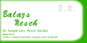 balazs mesch business card